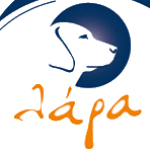 Profile photo of Hara Bourgani